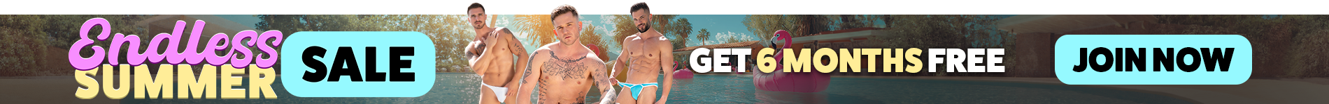Falcon Studios Endless Summer Sale: get 6 months free