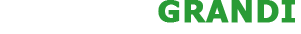 Giorgio Grandi logo